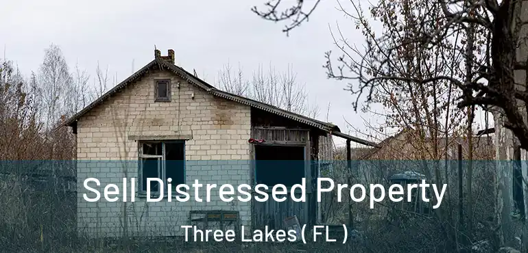  Sell Distressed Property Three Lakes ( FL )