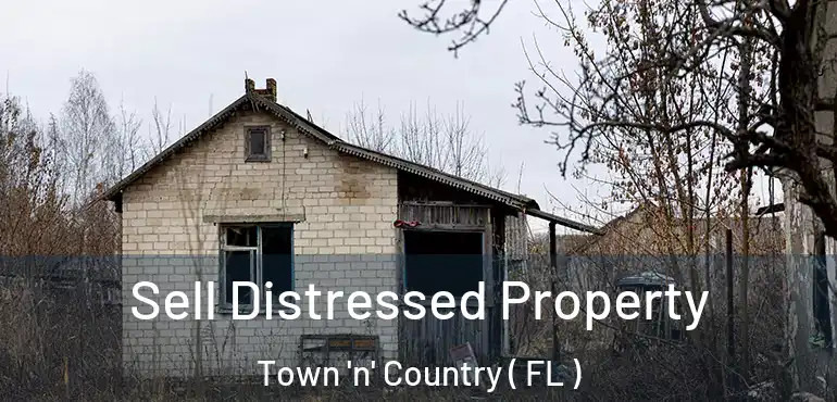  Sell Distressed Property Town 'n' Country ( FL )