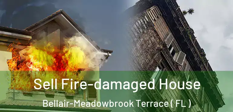  Sell Fire-damaged House Bellair-Meadowbrook Terrace ( FL )