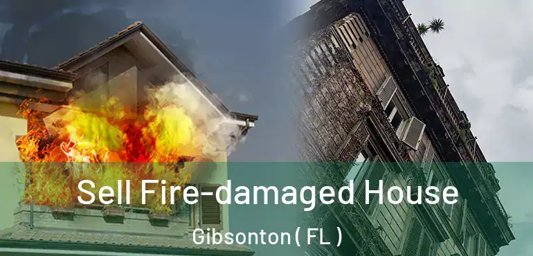  Sell Fire-damaged House Gibsonton ( FL )