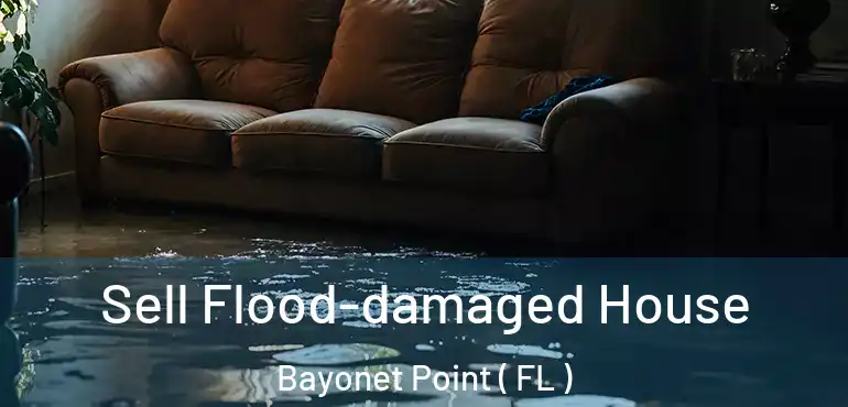  Sell Flood-damaged House Bayonet Point ( FL )