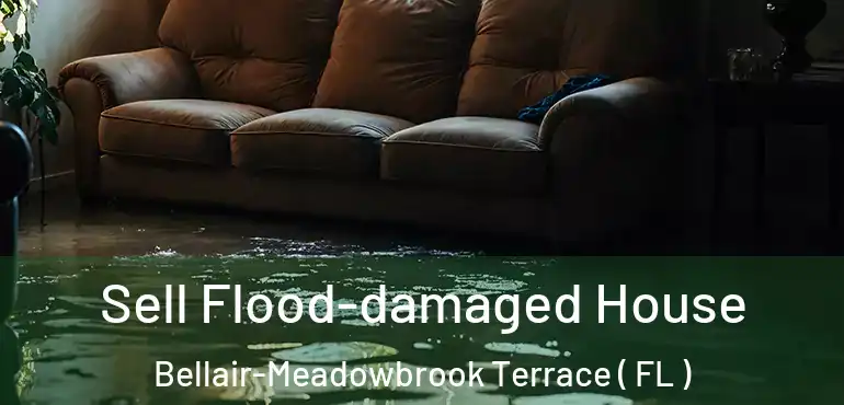  Sell Flood-damaged House Bellair-Meadowbrook Terrace ( FL )