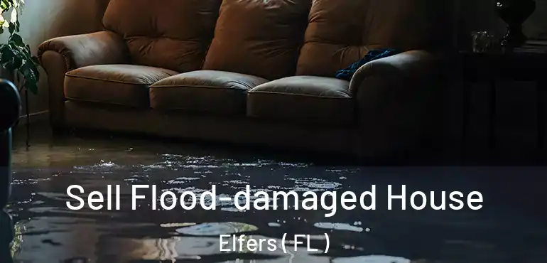  Sell Flood-damaged House Elfers ( FL )