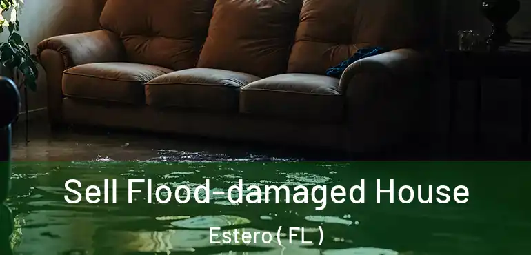  Sell Flood-damaged House Estero ( FL )
