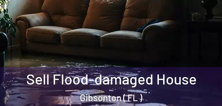  Sell Flood-damaged House Gibsonton ( FL )