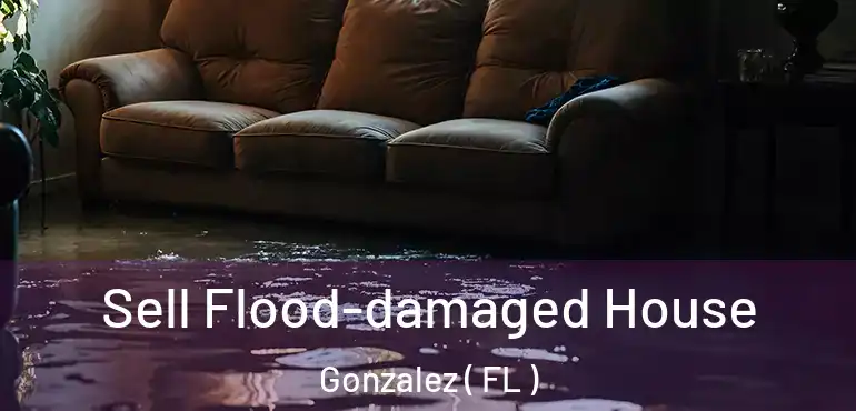  Sell Flood-damaged House Gonzalez ( FL )