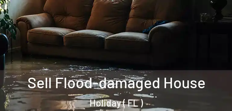  Sell Flood-damaged House Holiday ( FL )