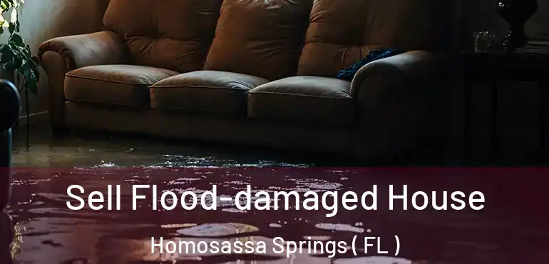  Sell Flood-damaged House Homosassa Springs ( FL )