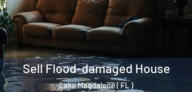  Sell Flood-damaged House Lake Magdalene ( FL )