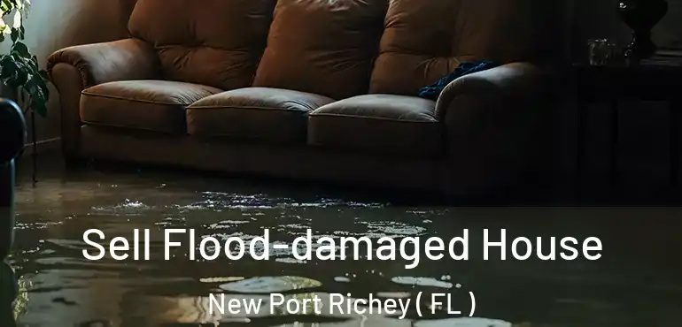  Sell Flood-damaged House New Port Richey ( FL )