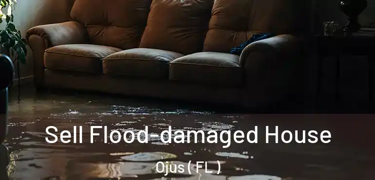  Sell Flood-damaged House Ojus ( FL )