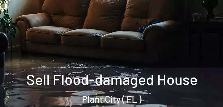  Sell Flood-damaged House Plant City ( FL )
