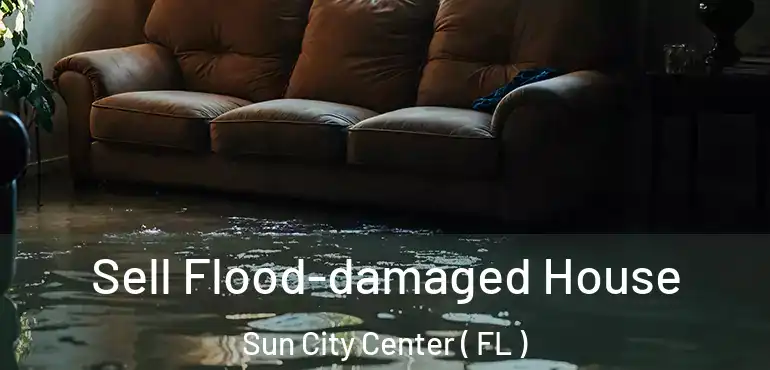  Sell Flood-damaged House Sun City Center ( FL )