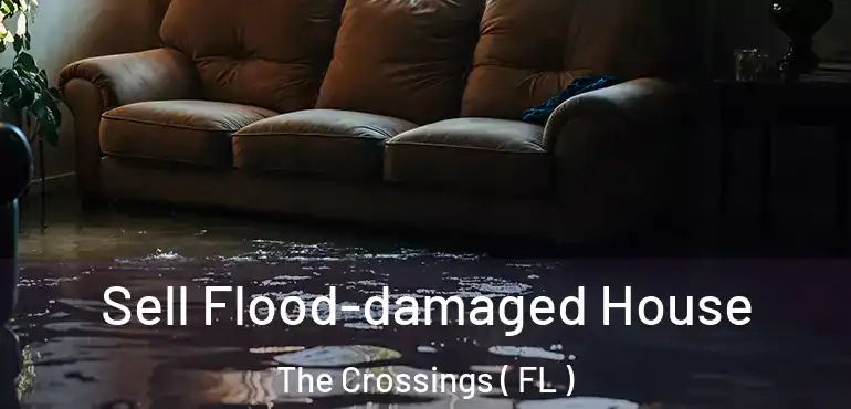  Sell Flood-damaged House The Crossings ( FL )