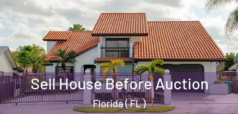  Sell House Before Auction Florida ( FL )