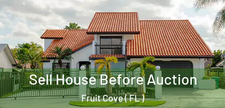  Sell House Before Auction Fruit Cove ( FL )