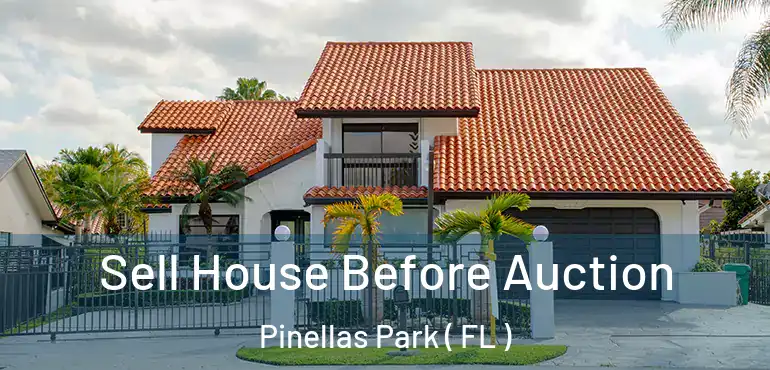  Sell House Before Auction Pinellas Park ( FL )