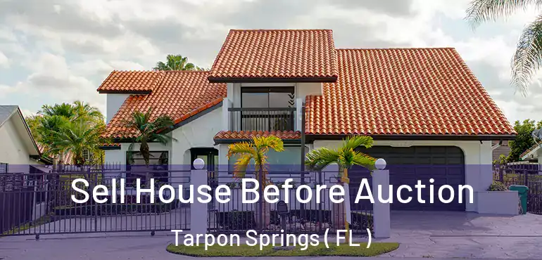  Sell House Before Auction Tarpon Springs ( FL )