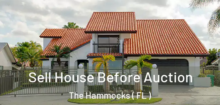  Sell House Before Auction The Hammocks ( FL )