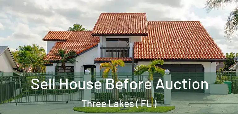  Sell House Before Auction Three Lakes ( FL )