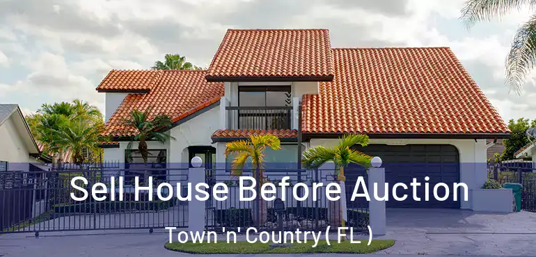  Sell House Before Auction Town 'n' Country ( FL )