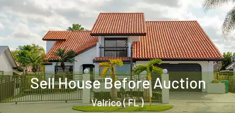  Sell House Before Auction Valrico ( FL )