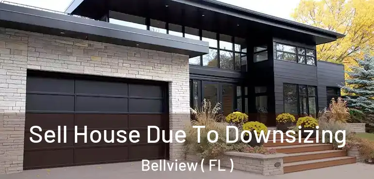  Sell House Due To Downsizing Bellview ( FL )