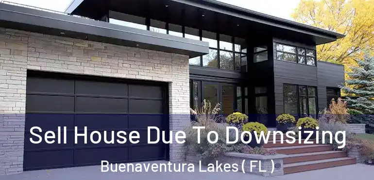  Sell House Due To Downsizing Buenaventura Lakes ( FL )