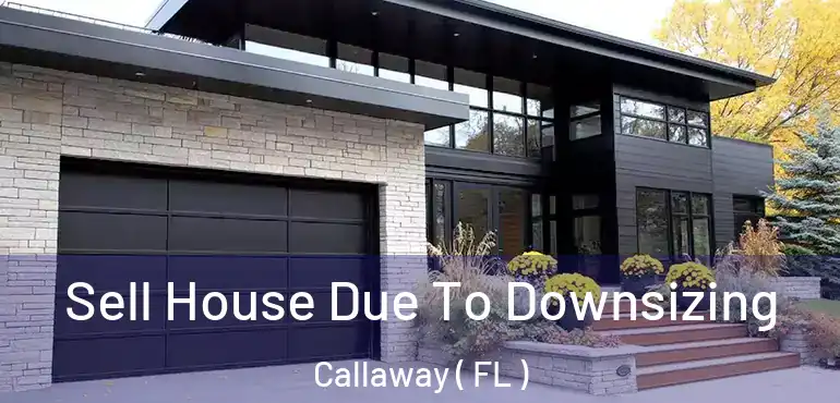  Sell House Due To Downsizing Callaway ( FL )