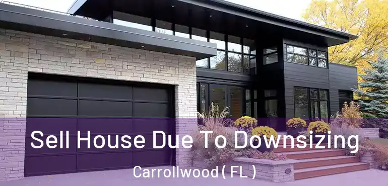  Sell House Due To Downsizing Carrollwood ( FL )