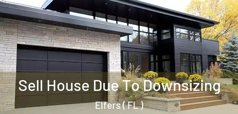  Sell House Due To Downsizing Elfers ( FL )
