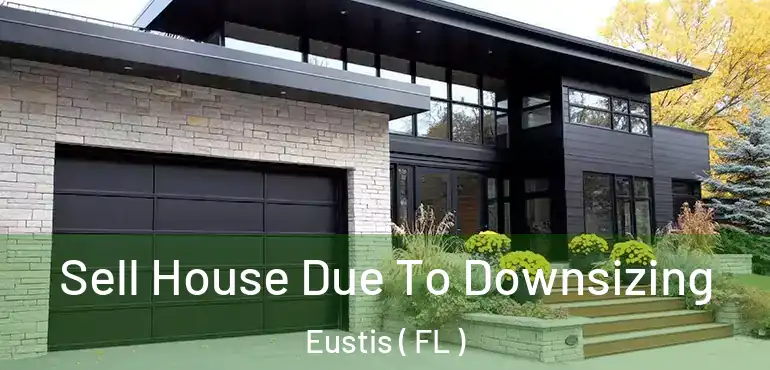  Sell House Due To Downsizing Eustis ( FL )