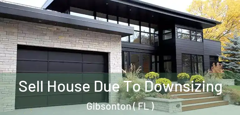  Sell House Due To Downsizing Gibsonton ( FL )
