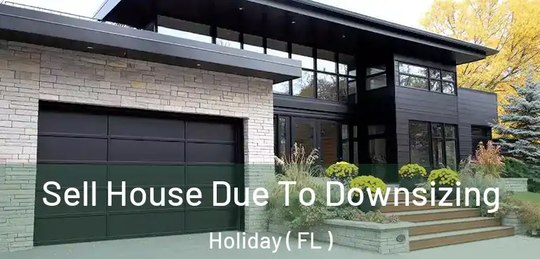  Sell House Due To Downsizing Holiday ( FL )