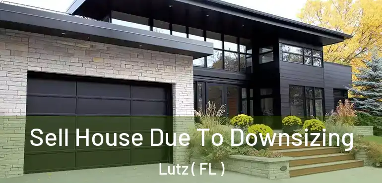  Sell House Due To Downsizing Lutz ( FL )