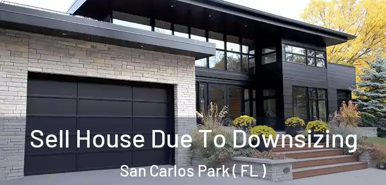  Sell House Due To Downsizing San Carlos Park ( FL )