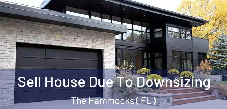  Sell House Due To Downsizing The Hammocks ( FL )