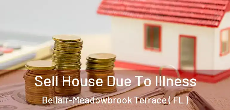  Sell House Due To Illness Bellair-Meadowbrook Terrace ( FL )