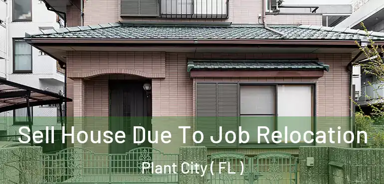  Sell House Due To Job Relocation Plant City ( FL )