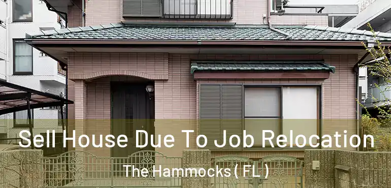  Sell House Due To Job Relocation The Hammocks ( FL )
