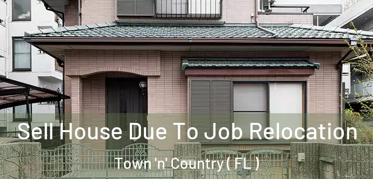  Sell House Due To Job Relocation Town 'n' Country ( FL )
