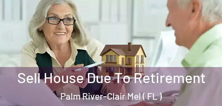  Sell House Due To Retirement Palm River-Clair Mel ( FL )