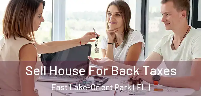  Sell House For Back Taxes East Lake-Orient Park ( FL )