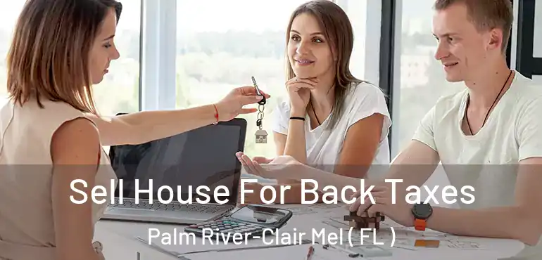  Sell House For Back Taxes Palm River-Clair Mel ( FL )