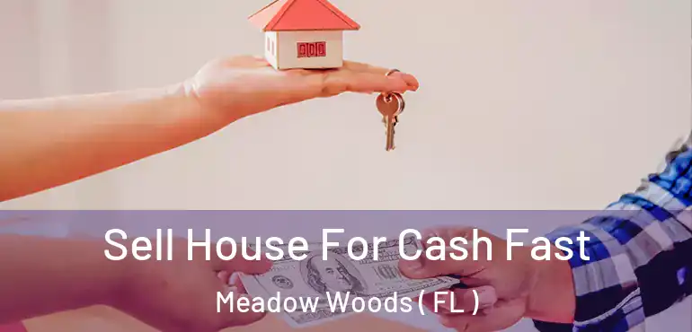  Sell House For Cash Fast Meadow Woods ( FL )