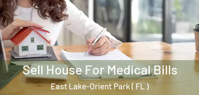  Sell House For Medical Bills East Lake-Orient Park ( FL )