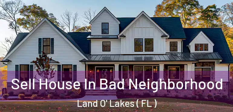 Sell House In Bad Neighborhood Land O' Lakes ( FL )