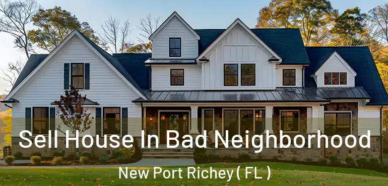  Sell House In Bad Neighborhood New Port Richey ( FL )