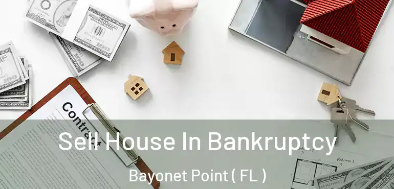  Sell House In Bankruptcy Bayonet Point ( FL )