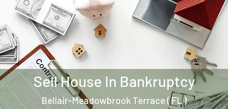  Sell House In Bankruptcy Bellair-Meadowbrook Terrace ( FL )